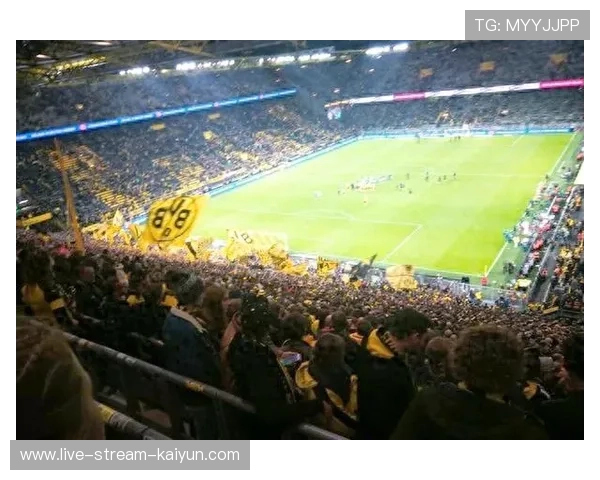 米兰双雄新球场方案细节曝光,符合欧冠决赛标准耗资7亿欧元 米兰双雄新球场方案细节曝光,符合欧冠决赛标准耗资7亿欧元